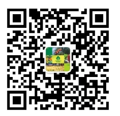 微信二维码